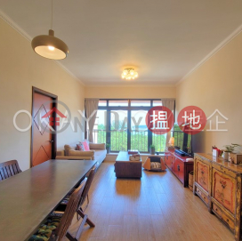 Popular 3 bedroom in Discovery Bay | Rental | Phase 1 Beach Village, 39 Seabird Lane 碧濤1期海燕徑39號 _0