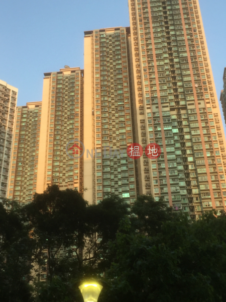 Tower 8 Phase 1 Park Central (將軍澳中心 1期 8座),Tseung Kwan O | ()(1)