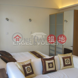 Studio Flat for Rent in Soho, 31 Elgin Street 伊利近街31號 | Central District (EVHK27798)_0