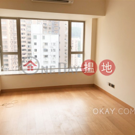 Tasteful 2 bedroom in Sai Ying Pun | Rental | The Nova 星鑽 _0