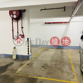 Tai Po Fixed Indoor Car Park for Rent, Block A Treasure Garden 海寶花園 A座 | Tai Po District (5983520221)_0