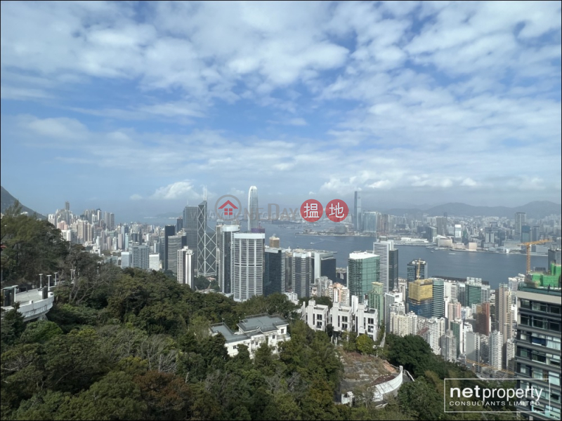 Property Search Hong Kong | OneDay | Residential, Rental Listings | Luxury Apartment with Magnificent View in The Peak