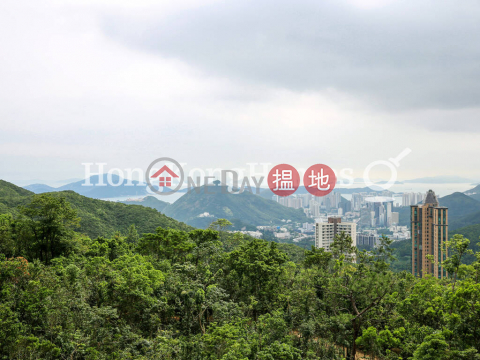2 Bedroom Unit for Rent at Parkview Heights Hong Kong Parkview | Parkview Heights Hong Kong Parkview 陽明山莊 摘星樓 _0