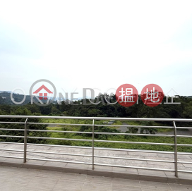 Unique house on high floor with rooftop & balcony | Rental