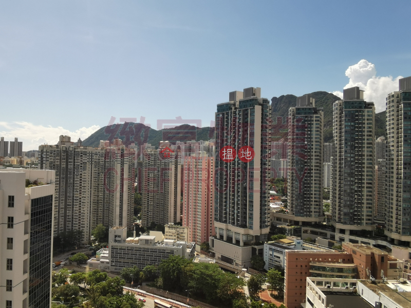 獅子山景，靚裝修，單位實用, 3 Tai Yau Street | Wong Tai Sin District, Hong Kong, Rental | HK$ 15,000/ month