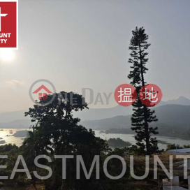 西貢 Tso Wo Hang 早禾坑村屋出售-罕有獨立屋, 特大花園 出售單位 | 早禾坑村屋 Tso Wo Hang Village House _0