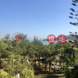 Unique 3 bedroom with terrace & balcony | Rental | Phase 1 Beach Village, 37 Seabird Lane 碧濤1期海燕徑37號 _0