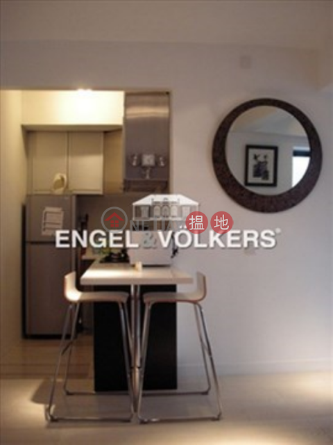 Studio Flat for Sale in Soho, Rich View Terrace 豪景臺 | Central District (EVHK14575)_0