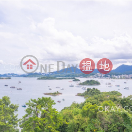 Tasteful house with sea views, rooftop & terrace | For Sale | Tai Mong Tsai Tsuen 大網仔村 _0