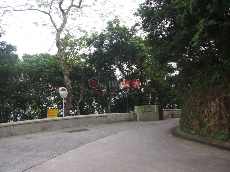 加列山道35-35A號 (35-35A Mount Kellett Road) 山頂|搵地(OneDay)(2)