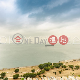 3房2廁,實用率高,極高層,星級會所貝沙灣1期出售單位 | 貝沙灣1期 Phase 1 Residence Bel-Air _0