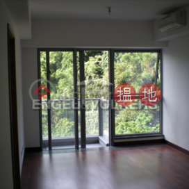 3 Bedroom Family Flat for Rent in Causeway Bay | Serenade 上林 _0