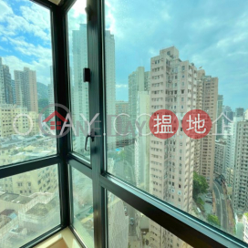 1房1廁,極高層蔚庭軒出售單位, 蔚庭軒 Wilton Place | 西區 (OKAY-S99024)_0