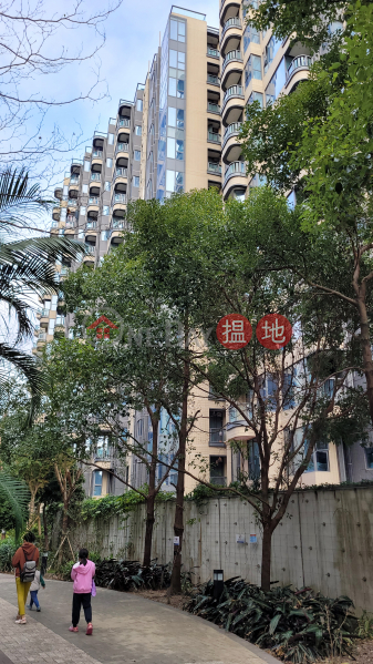 Alto Residences Tower 6 (藍塘傲6座),Tseung Kwan O | ()(1)