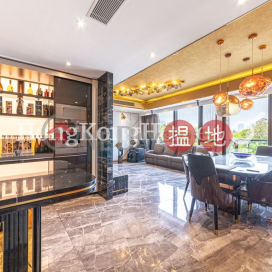 天鑄 2期 3座4房豪宅單位出售