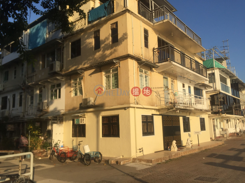 南灣新邨村屋 (Village House in Nam Wan San Tsuen) 坪洲|搵地(OneDay)(1)