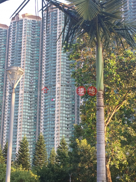Caribbean Coast, Phase 3 Carmel Cove, Lux Living (Tower 12) (Caribbean Coast, Phase 3 Carmel Cove, Lux Living (Tower 12)) Tung Chung|搵地(OneDay)(1)