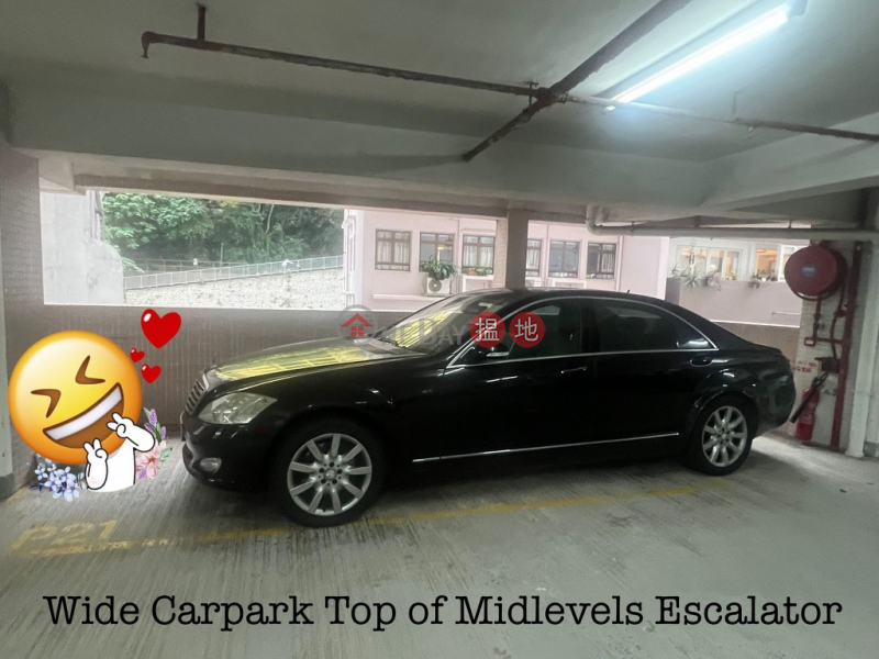 Midlevels Central Conduit Road Carpark for Rent | Vantage Park 慧豪閣 Rental Listings