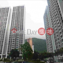 3 Bedroom Family Flat for Sale in Jardines Lookout | Cavendish Heights Block 8 嘉雲臺 8座 _0