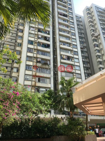 Block 13 On Hiu Mansion Sites D Lei King Wan (安曉閣 (13座)),Sai Wan Ho | ()(3)