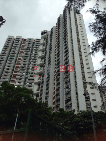 桐園樓 (13座) (Tung Yuen House (Block 13) Chuk Yuen North Estate) 黃大仙|搵地(OneDay)(1)
