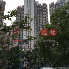 Shek Pai Wan Estate block 4 Pick Shan House|石排灣邨 第4座 碧山樓