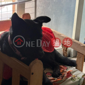 workshop, 金龍工業中心第1座 Golden Dragon Industrial Centre Block 1 | 葵青 (IAMTG-669810347)_0