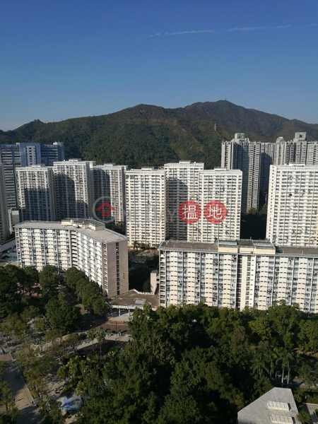 (Direct Landlord) Very high floor, Tai Po Plaza Block 4 Yee Hing Court 大埔廣場 宜興閣4座 Rental Listings | Tai Po District (65135-4789347652)