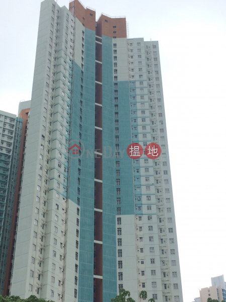 東濤苑 暉濤閣 (C座) (Fai Tao House (Block C) Tung Tao Court) 西灣河| ()(1)