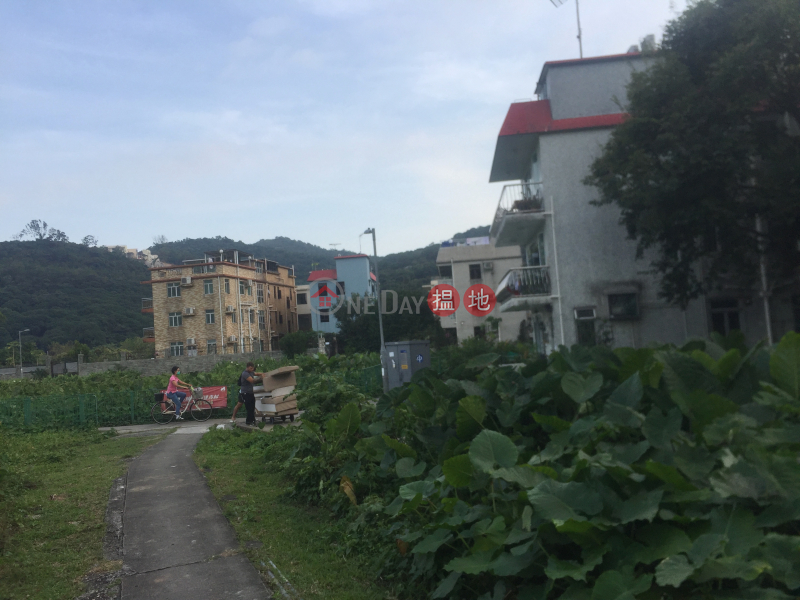 Luk Tei Tong Village House (Luk Tei Tong Village House) Mui Wo|搵地(OneDay)(4)