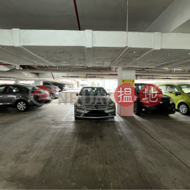 City One Shatin Centre L2 No 74 Car Park Space | Block 12 Site 1 City One Shatin 沙田第一城12座 _0