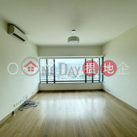 Gorgeous 3 bedroom in Kowloon Station | Rental