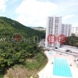 Efficient 3 bedroom with rooftop, balcony | Rental | Braemar Hill Mansions 賽西湖大廈 _0