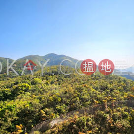 2房2廁,極高層,星級會所,連車位陽明山莊 摘星樓出租單位 | 陽明山莊 摘星樓 Parkview Heights Hong Kong Parkview _0