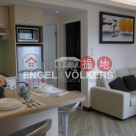 2 Bedroom Flat for Sale in Central Mid Levels | Carble Garden | Garble Garden 嘉寶園 _0