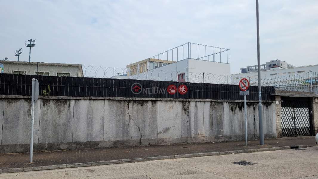 4 ESSEX CRESCENT (雅息士道4號),Kowloon Tong | ()(4)