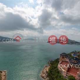 Gorgeous 4 bedroom with sea views & parking | Rental | Pacific View 浪琴園 _0