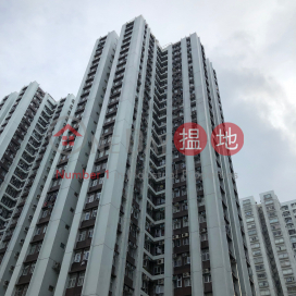 (T-53) Ngan sign Mansion On Sing Fai Terrace Taikoo Shing|銀星閣 (53座)