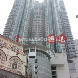 Studio Flat for Rent in Mid Levels West, 80 Robinson Road 羅便臣道80號 | Western District (EVHK60228)_0