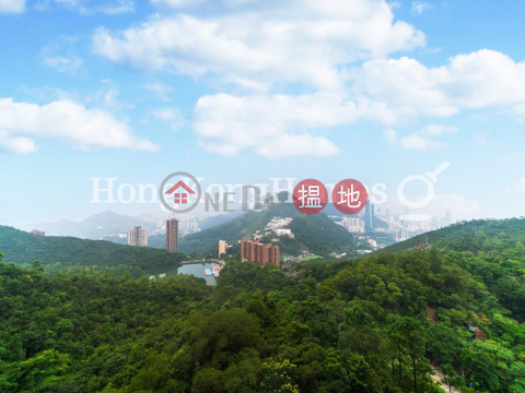 3 Bedroom Family Unit for Rent at Parkview Corner Hong Kong Parkview | Parkview Corner Hong Kong Parkview 陽明山莊 眺景園 _0