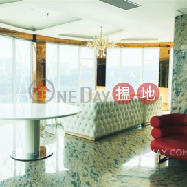 Lovely 2 bedroom on high floor with sea views & rooftop | Rental | One Kowloon Peak 壹號九龍山頂 _0