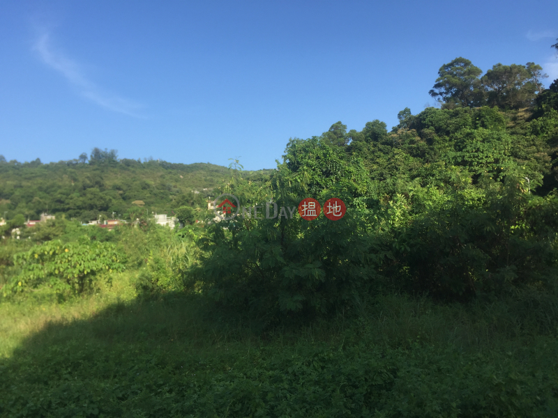 Tai Peng New Village (大坪新村),Tai Peng | ()(2)