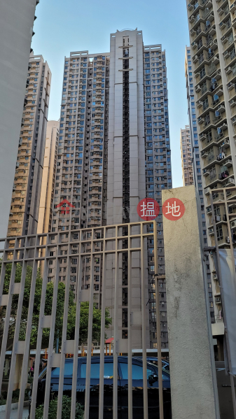 寶盈花園 3座 (Tower 3 Bauhinia Garden) 將軍澳| ()(1)