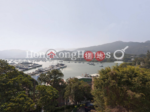 輋徑篤村4房豪宅單位出售|西貢輋徑篤村(Che Keng Tuk Village)出售樓盤 (Proway-LID105135S)_0