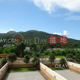 Popular house with rooftop, terrace & balcony | Rental | Ho Chung New Village 蠔涌新村 _0