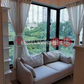 1 Bed Flat for Rent in Mid Levels West, Wilton Place 蔚庭軒 | Western District (EVHK90729)_0
