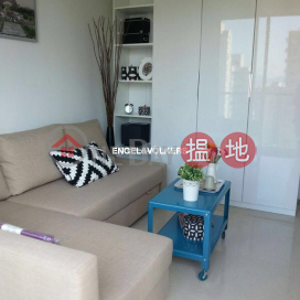 Studio Flat for Rent in Sai Ying Pun, The Summa 高士台 | Western District (EVHK60123)_0