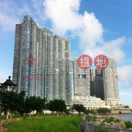3 Bedroom Family Flat for Sale in Cyberport | Phase 6 Residence Bel-Air 貝沙灣6期 _0