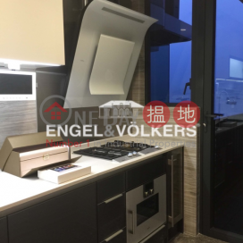 石塘咀兩房一廳筍盤出售|住宅單位 | 維港峰 Upton _0
