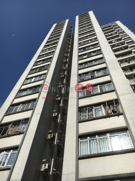Block 13 On Hiu Mansion Sites D Lei King Wan (安曉閣 (13座)),Sai Wan Ho | ()(4)